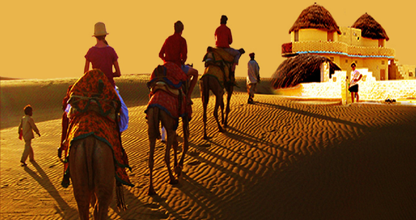 Evening Camel Safari