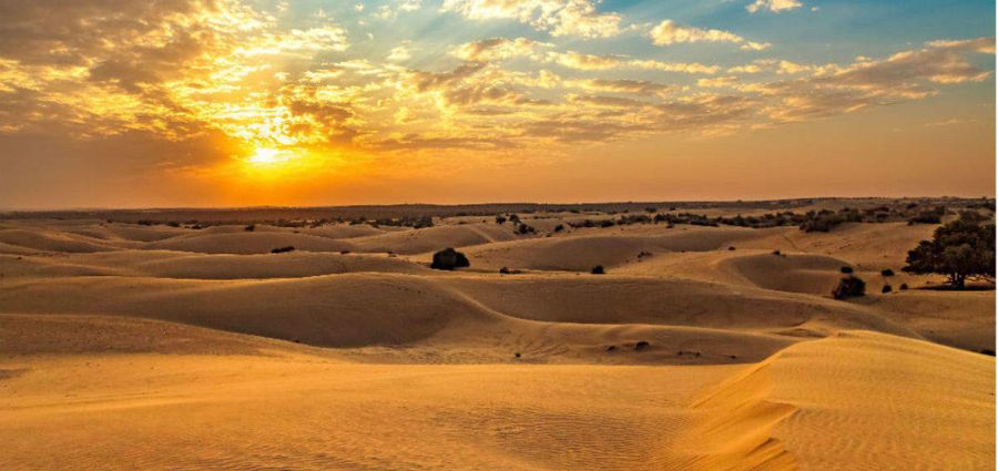 Thar Desert