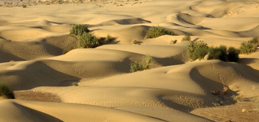 Sand Dunes