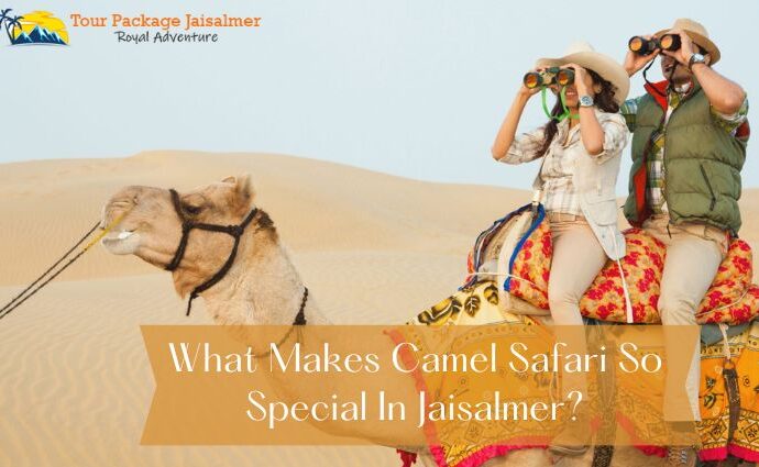 Camel Safari