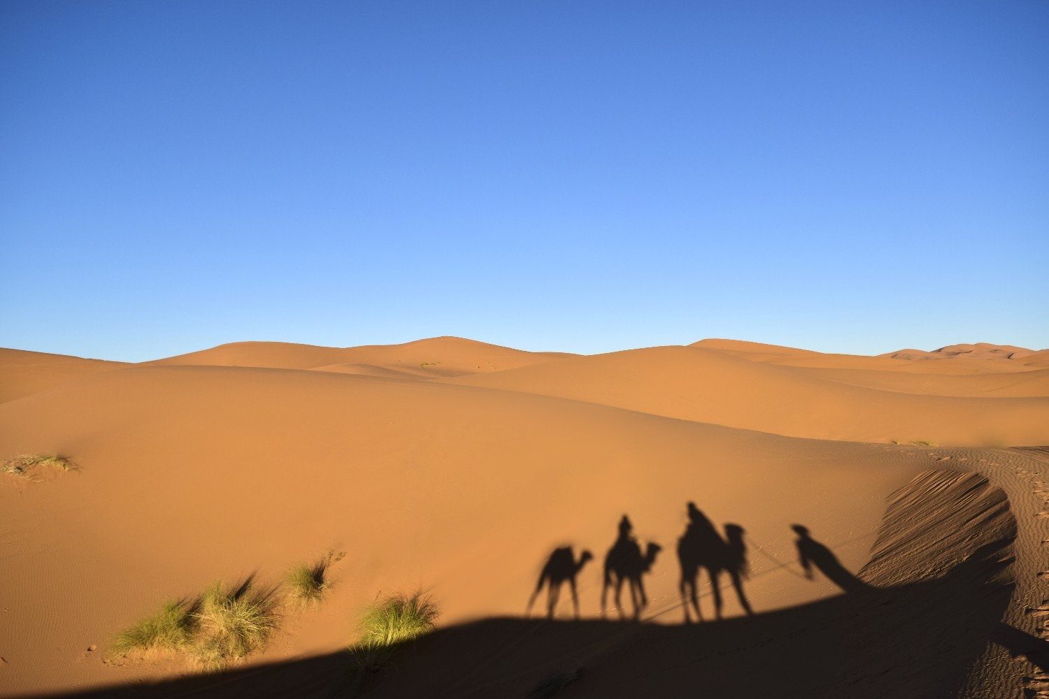 Sam Sand Dunes