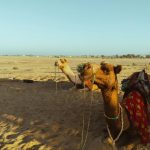 desert camp packages in jaisalmer