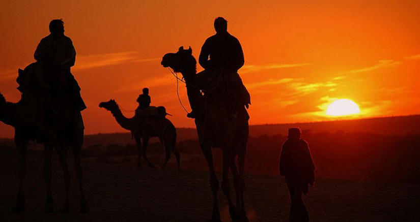 Camel Safari in Jaisalmer