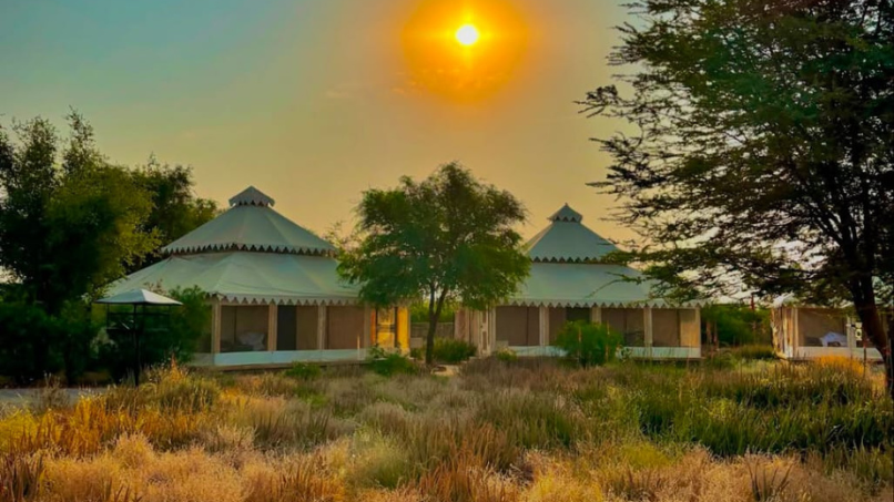 Desert Spring Resort Camp