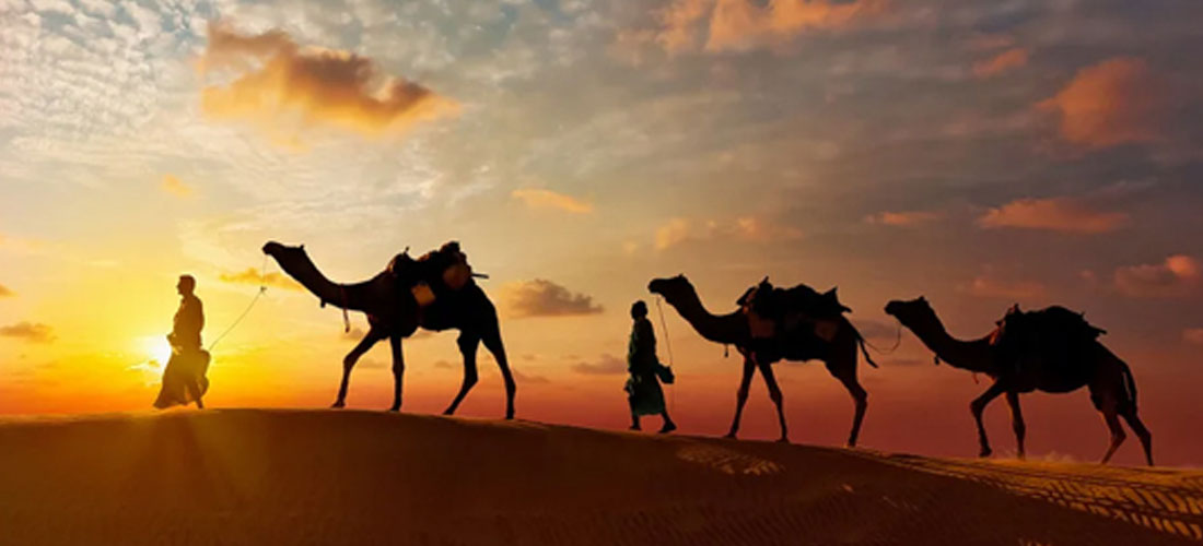 Desert Camps Jaisalmer