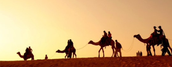 Boutique Hotels