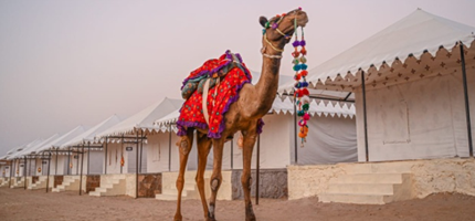 Camping In Jaisalmer With Desert Safari