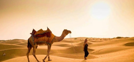 Desert Camel Safari In Jaisalmer