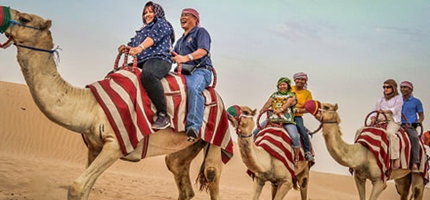 One-Day Camel Safari Jaisalmer Tickets